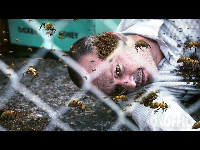 Deadly Sting | HORROR | Full Movie 🟣