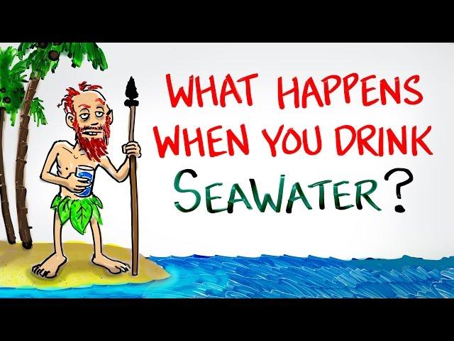 What Happens When You Drink SeaWater?