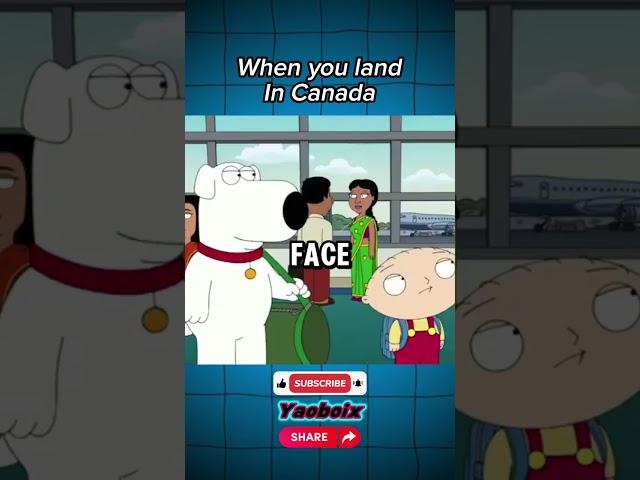 Family guy India smell airport air #funny #random #fyp #yaoboix #dopamine #speed #runs #best #plane