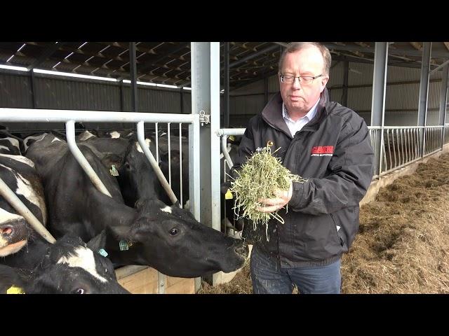 Alfalfa Forage Grass Update for dairy cows Spring 2018