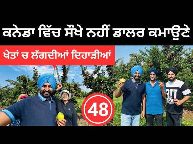 ਟੋਰਾਂਟੋ ਚ ਸੇਬਾਂ ਦੀ ਖੇਤੀ ਕਰਦੇ ਪੰਜਾਬੀ ਪਰਿਵਾਰ Apple Farm Canada | Punjabi Travel Couple | Ripan Khushi