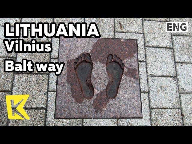 【K】Lithuania Travel-Vilnius[리투아니아 여행-빌뉴스]대성당 광장, 발트의 길/Balt way/Vilnius Cathedral/Square