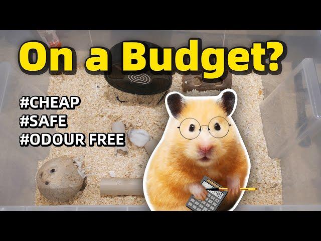 The Cheapest Way to Take Care of Hamsters