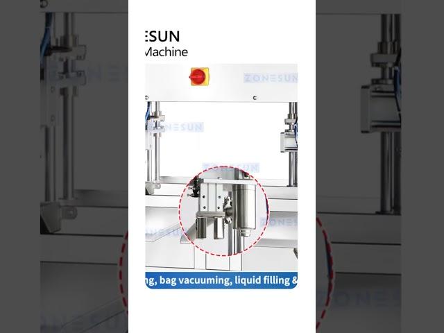 Zonesun ZS-BIB01D Bag in Box Filler
