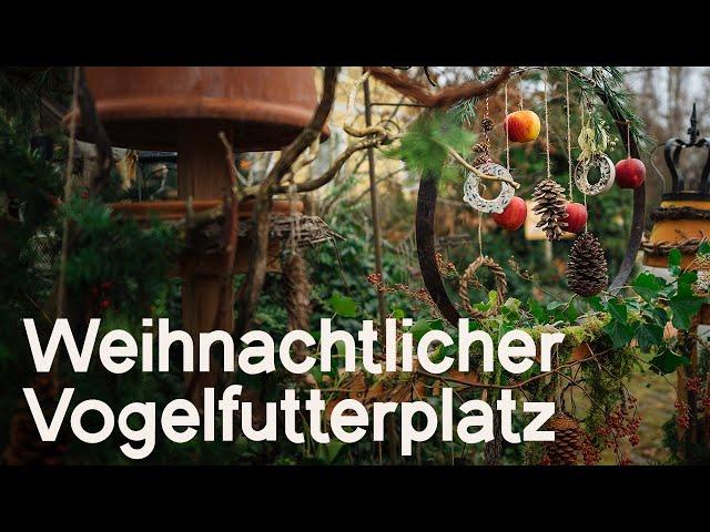 DIY: Weihnachtlich/Winterliche Deko für den Vogelfutterplatz – Wundervoll für Mensch & Tier!  ‍⬛