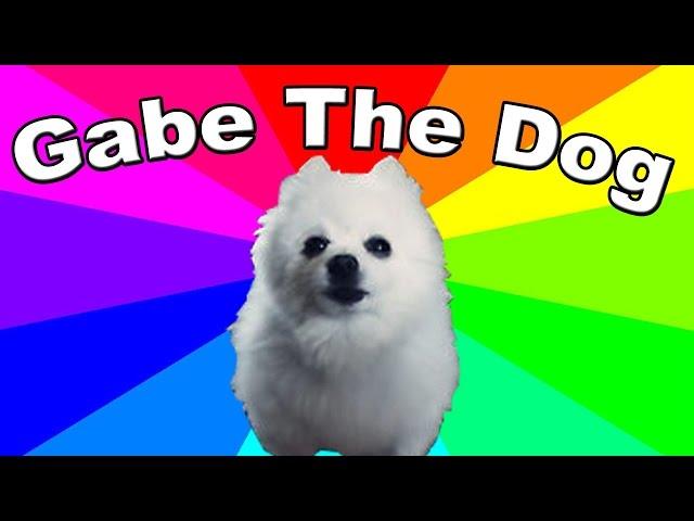 What is Gabe the dog? The History & Origin Of Bork Remixes And Gabe The Dog Memes