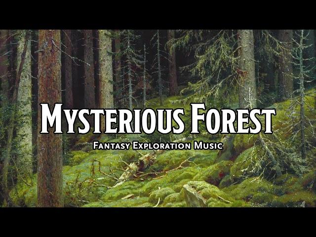 Mysterious Forest | D&D/TTRPG Music | 1 Hour