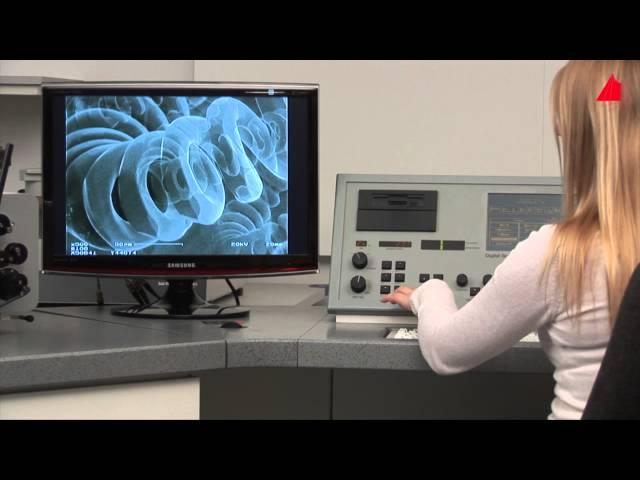 The Scanning Electron Microscope