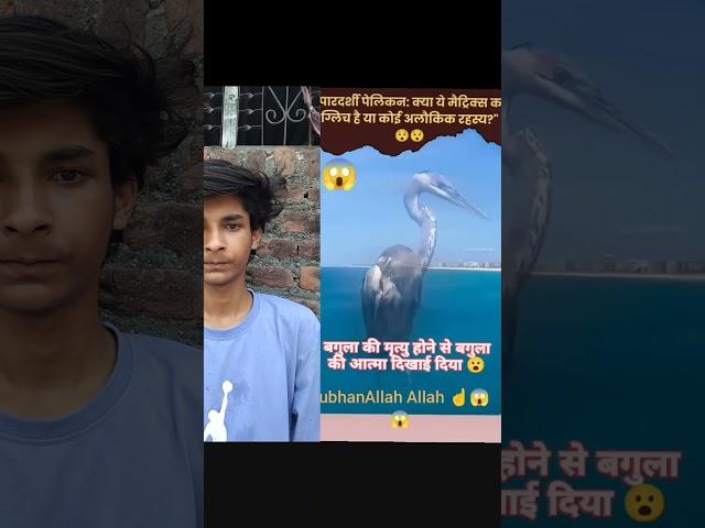 subhanAllah Allah️ namaz kobul korun amin you️ #shortsamader#youtubeshorts#alhamdulillah#duet