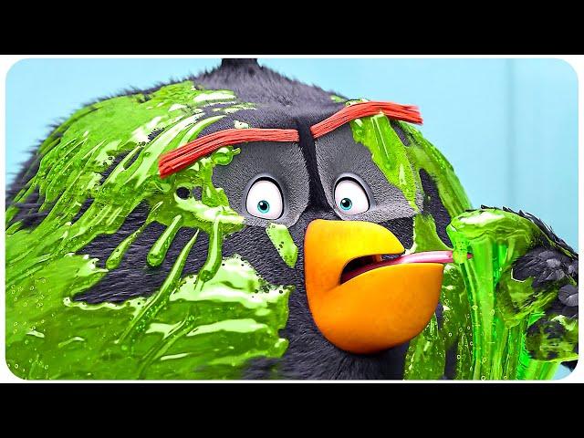 ANGRY BIRDS 2 Funniest Scenes 4K ᴴᴰ