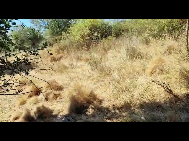 3560m2 of land adjacent to the river for  9500 euros