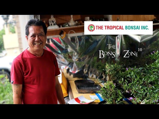 A Visit to The Tropical Bonsai Inc, The Bonsai Zone, Aug 2023