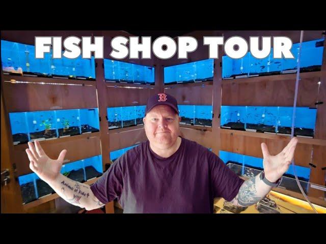 Some Amazing Fish In This Fish Shop | Fish Shop Tour