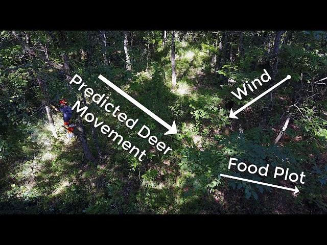 Mineral Stump Bow Stand Improvements