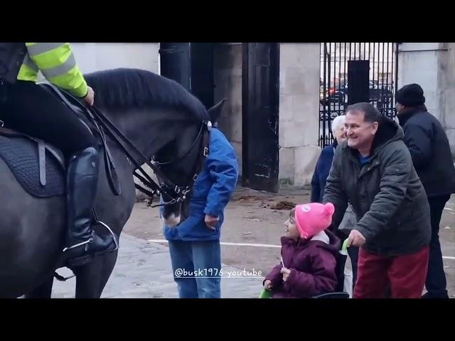 The most heartwarming  moments from horse guards #thekingsguard