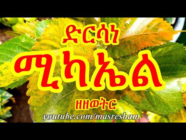 ድርሳነ ሚካኤል ዘዘወትር - Dirsane Michael Zezewetir