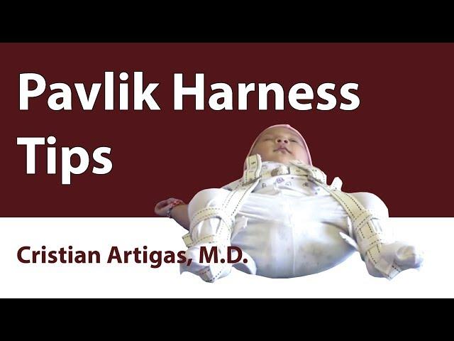 Pavlik Harness Tips