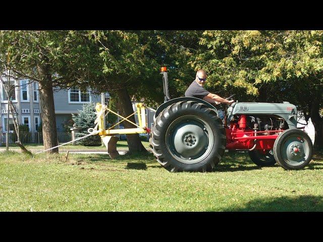 Hauling out Shrubs with the Ford 8N farm tractor