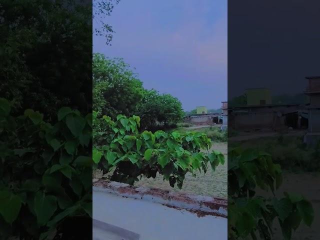 mere gaon ka Mausam #jiskeaanesemukammalhogayithizindagisong #ekmotahathighumechala #bolleywoodsong