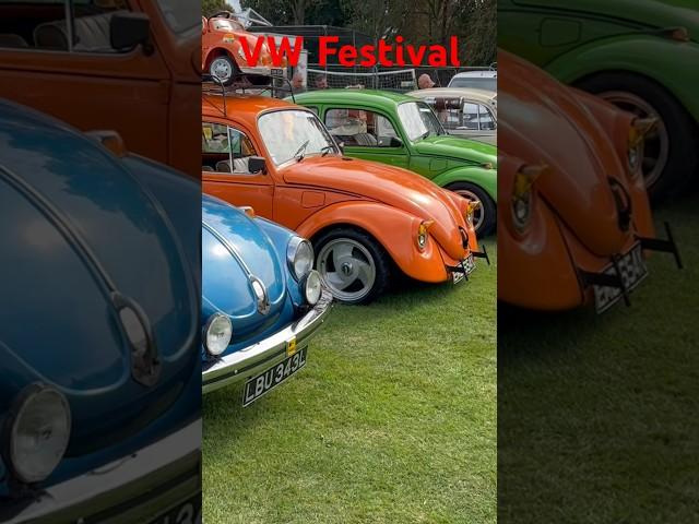 Doncaster VW Festival Classic VW Beetle + Bus camper van #Shorts #VW #beetle