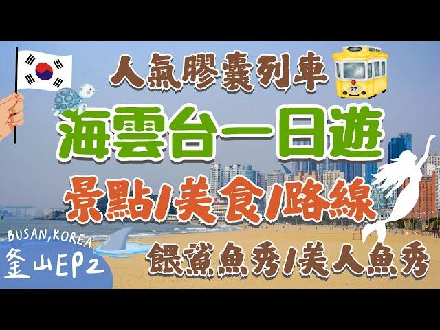 釜山必去景點EP2！海雲台一日遊️遊客最愛的休閒渡假區｜超人氣天空膠囊列車SEALIFE釜山水族館超豐富餵食秀、人魚表演‍️必吃美食推薦！比臉還大的海鮮刀削麵｜Busan, Korea