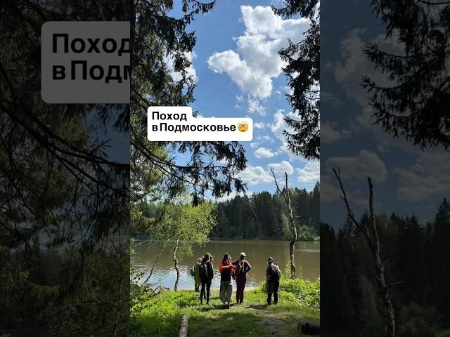 Где пойти в поход в Москве? #поход #позодмосква #шортс #shorts #реки