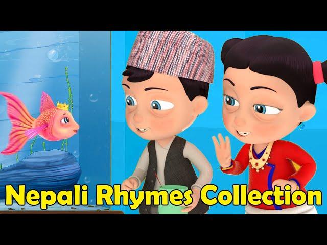 Macha Jal Ko Rani Ho | Nani Babu Nonstop Nepali Rhymes for Kids | बाल गीत Baby Songs Collection