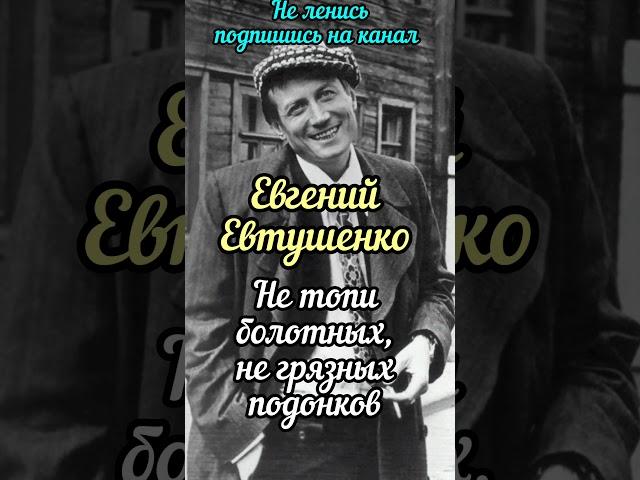 Евгений Евтушенко, не надо бояться, сильный стих, #shorts
