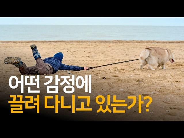 감정 알아차리는 방법 | 놓아 버림