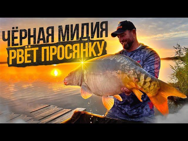 Огромные Карпы водоема "Разлив" !!! Новые Рекорды !!!