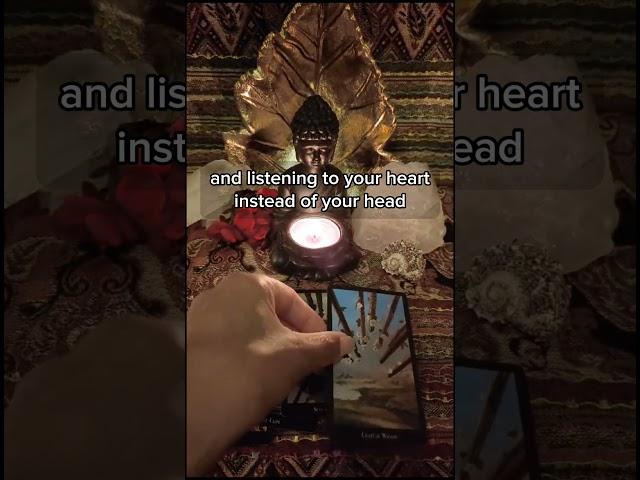 You have a love message from your angels. READ BIO for free readings. #tarot #tarotreader