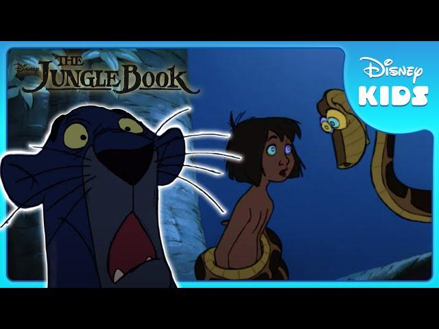  Bagheera Saves Mowgli! | Jungle Book | Disney Kids