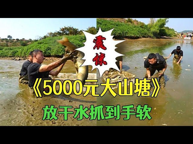 花5000塊包下四年大山塘，用挖機把水放幹抓到手軟#戶外  #包塘  #鄉村生活 小飛哥#抓魚vlog