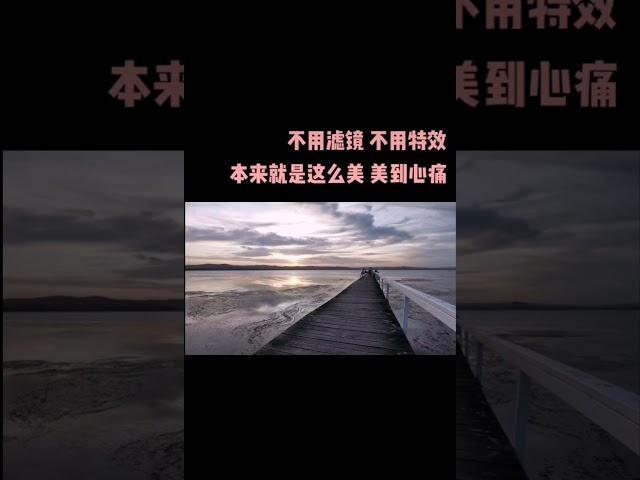 陪你到海边看夕阳