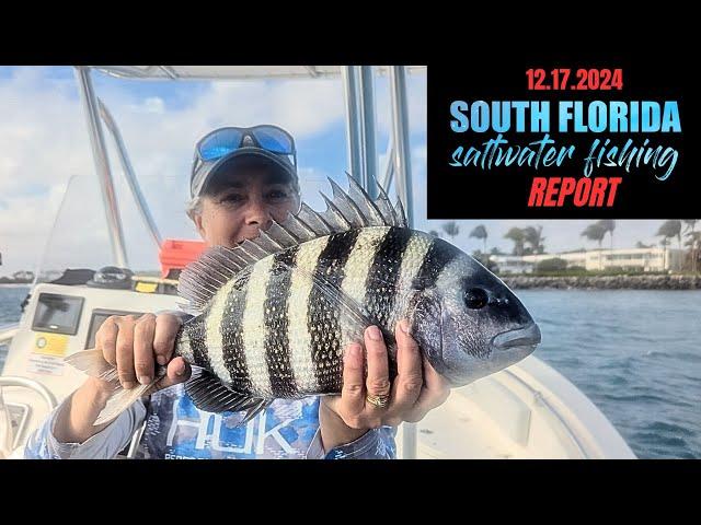 SOUTH FLORIDA SALTWATER FISHING REPORT (12/17/2024)