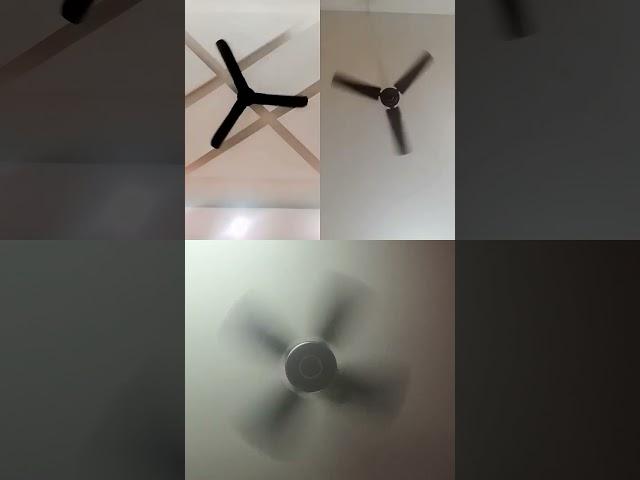 Ceiling #fan #viralvideo #ceilingfan #video #kipasangin #viralshorts #youtubeshorts #ytshorts #sound