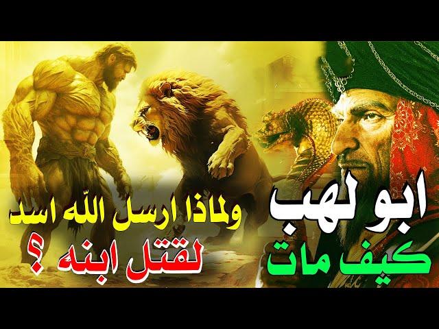 قصة أبي لهب اول عدو فى الإسلام وكيف امـ,اته الله ؟ ولماذا ارسل الله اسد لابنه عتيبه لقتــ,لـة | فطرة