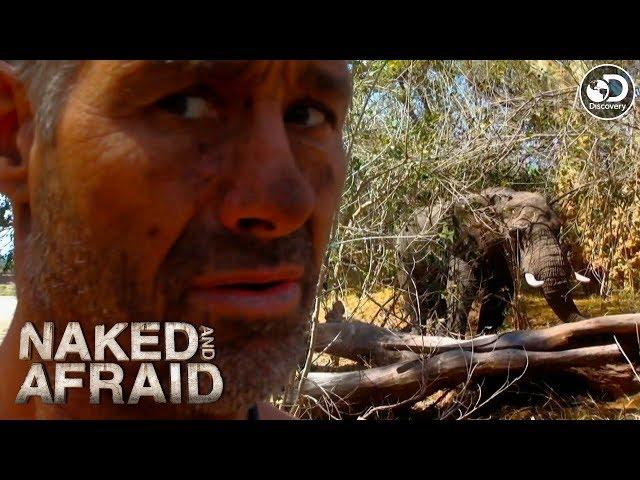 Approached by an Aggressive Bull Elephant | Naked and Afraid