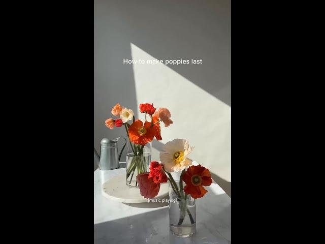 tag someone you want to give flowers to @RachelChoFloral #flowers #arrangement #poppies