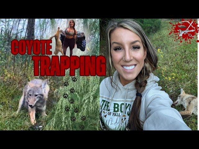 COYOTE TRAPPING! | TRAP QUEEN: LIFE ON THE LINE