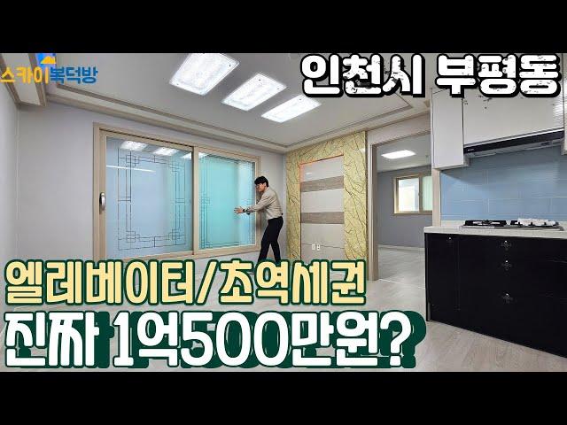 [인천빌라매매](no666)부평시장역 도보 2분 엘레베이터 설치 방2개 거실이 있는대 1억 500만원? 급매빌라 [부평동빌라]