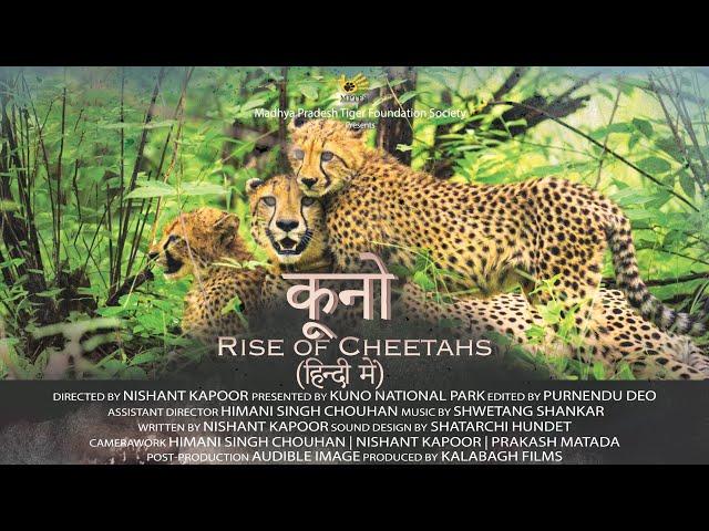 Kuno: Rise of Cheetahs - Hindi | Official Documentary