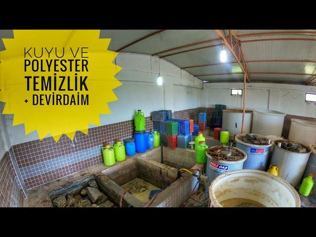 ZEYTİN KUYULARI DEVİRDAİM NASIL YAPILIR  !!!  #tarım#çitçi#traktör#köyişleri#köyhayatı