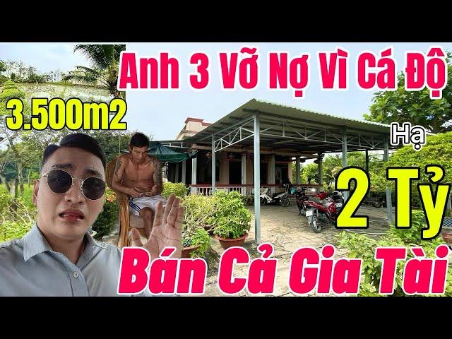 NHÀ VƯỜN NHÀ NGỘP BÌNH CHÁNH- 3.500m2 Chợ Bình Chánh Chỉ 5 Phút - Anh Chủ Lỡ Tay Theo Mạnh QUÁ 