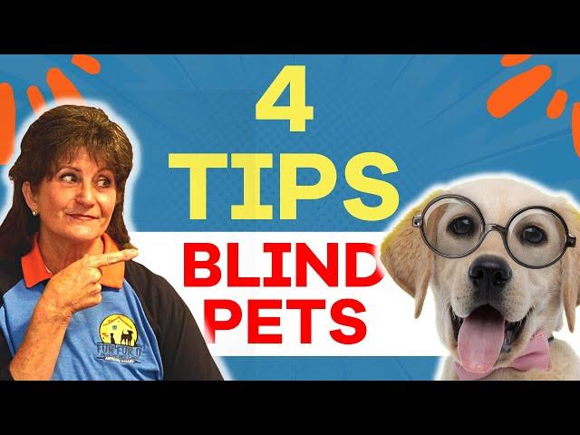 How to Care for a Blind Dog at Home