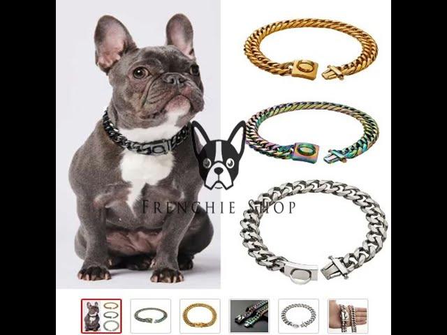French Bulldog Chain Collar Stainless Steel 18K Gold