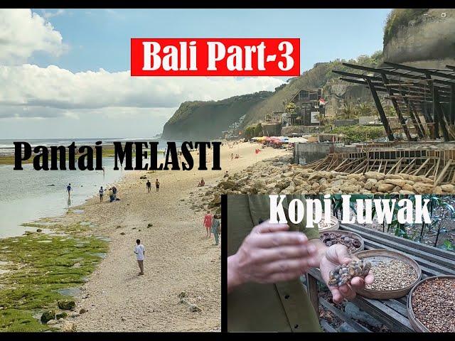 KOPI LUWAK BALI YANG TERKENAL & CARA PEMBUATAN | WISATA PANTAI MELASTI KEREN | Kaliling Bali Part 3