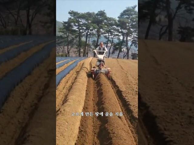 2025년 3월 시골 일상 ( 1.밭 장만하기 )