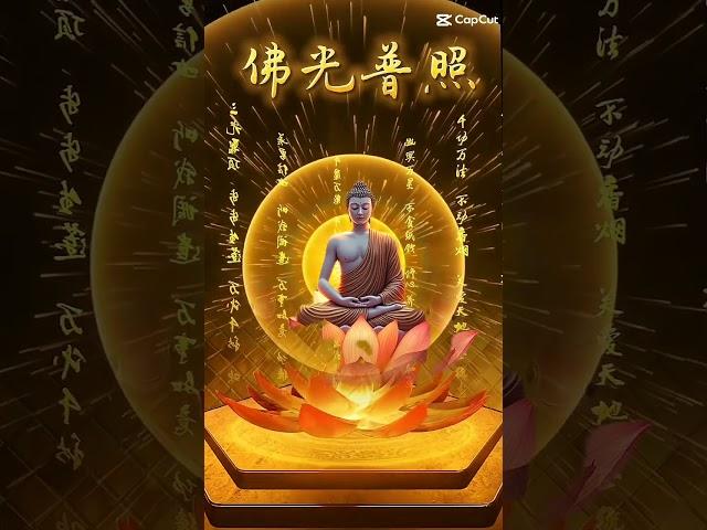 #正能量 #佛安吉祥如意 #佛光普照十方世界 #愿一切诸有情 #身体健康 #阖家平安 #光明遍照十方世界 #唸佛眾生摄取不捨