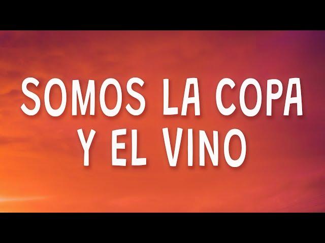 Somos la copa y el vino - Chayanne - Bailando Bachata (Letra)